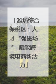 潍坊综合保税区：人才“强磁场” 赋能跨境电商新活力
